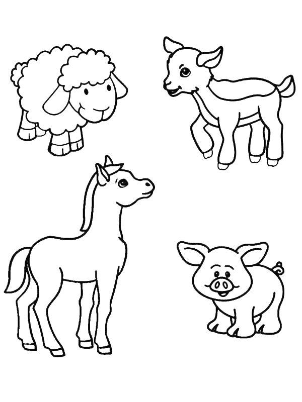Ausmalbild 4 Nutztiere  