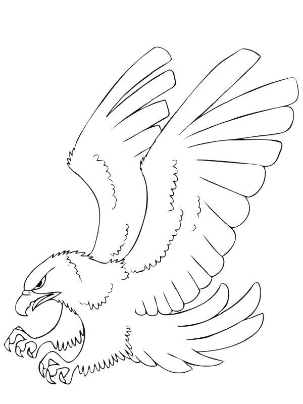 Ausmalbild Adler  