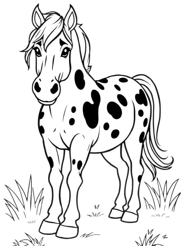 Ausmalbild Appaloosa pferd  
