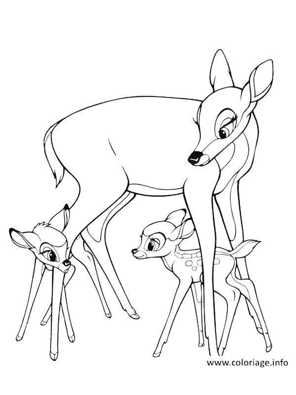 Ausmalbild Bambi mit seiner Mutter und Feline  