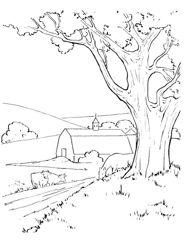 Ausmalbild Bauernhoflandschaft  
