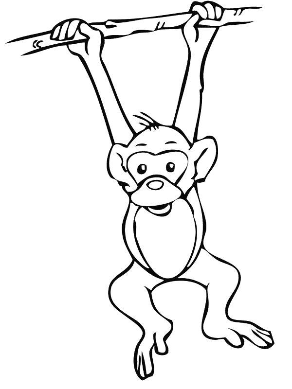 Ausmalbild Baumelnder Affe  