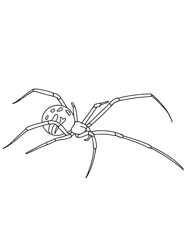 Ausmalbild Braune Witwe  