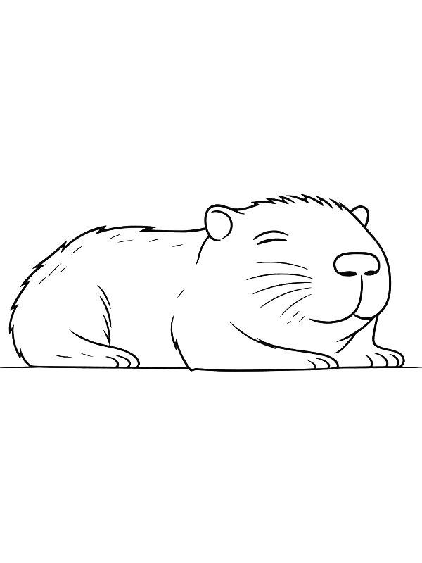 Ausmalbild Capibara schläft  