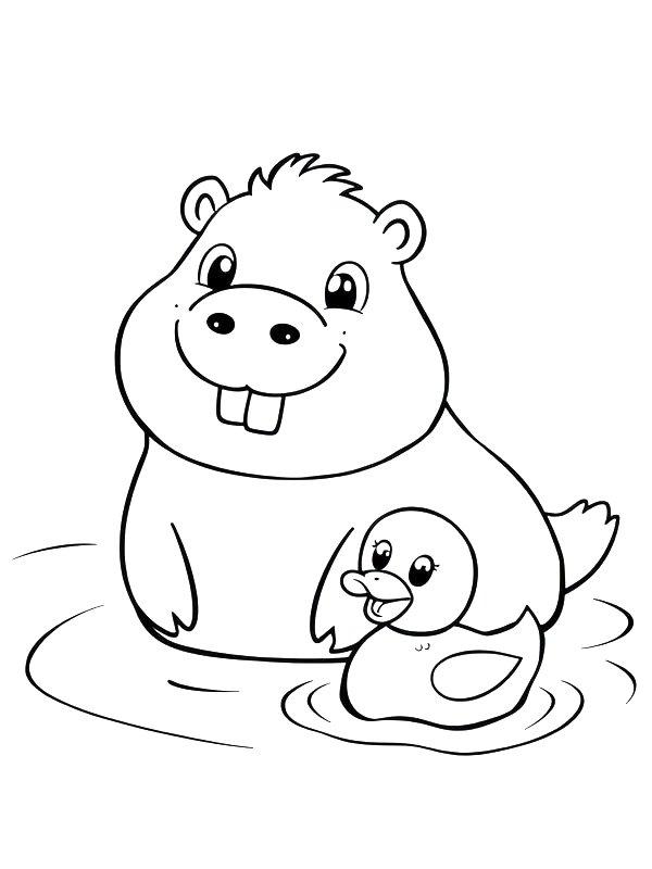 Ausmalbild Capybara schwimmt mit einer Ente  