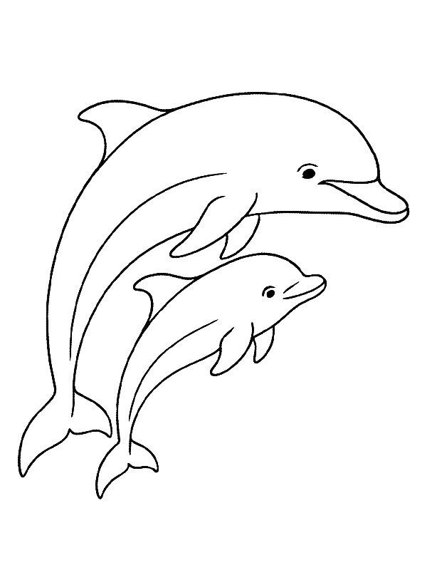Ausmalbild Delfin mit Baby  