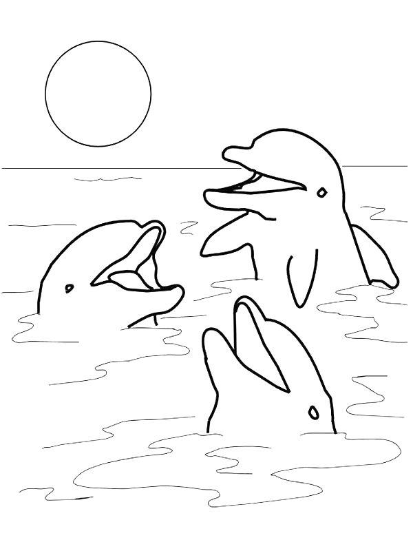 Ausmalbild Delfine im Meer  