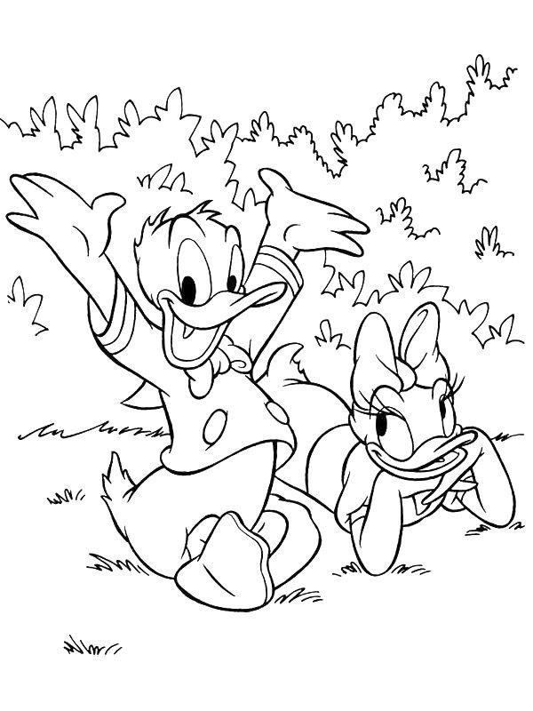 Ausmalbild Donald Duck und Daisy Duck  