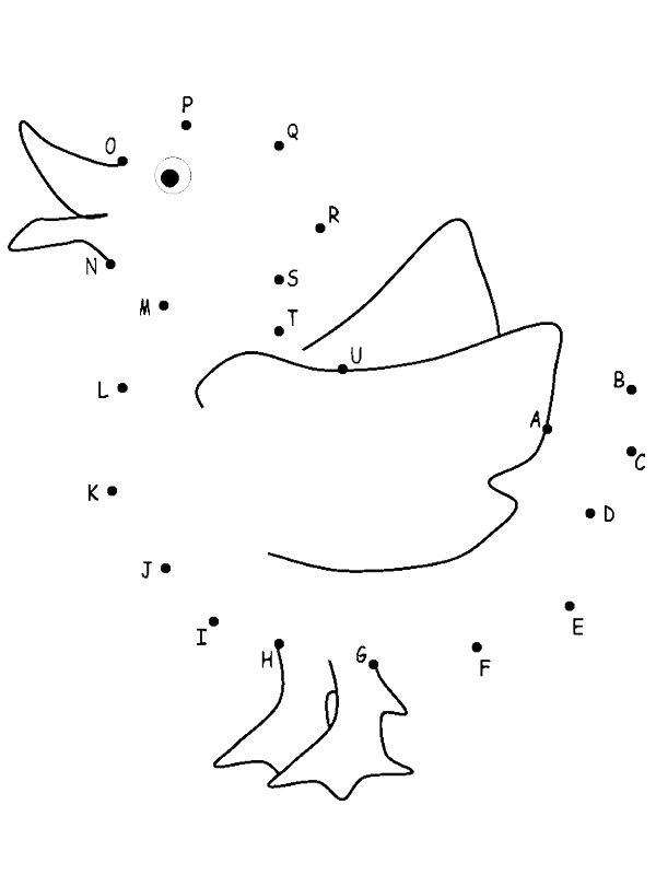 Ausmalbild Duck Punkt zu Punkt  
