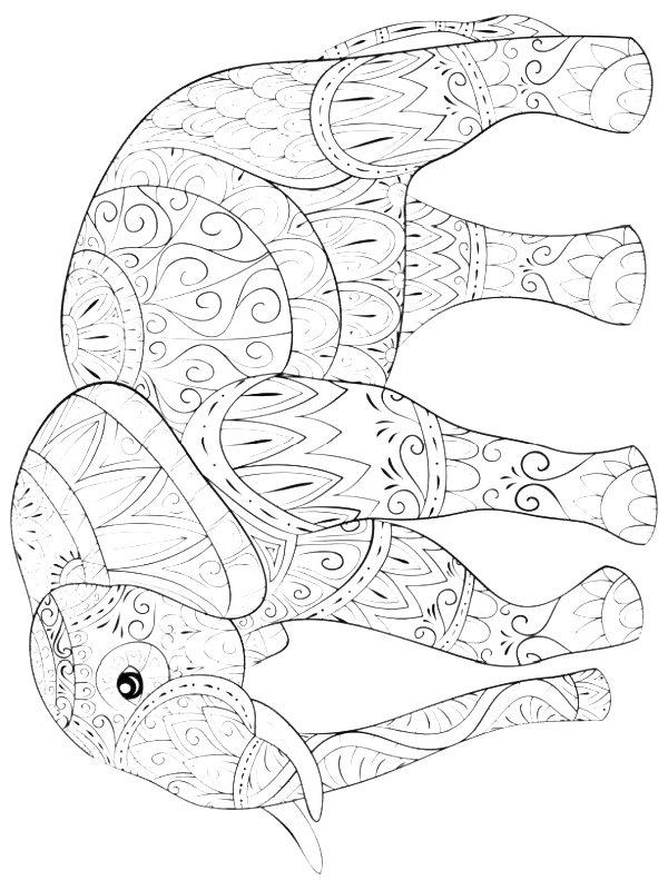 Ausmalbild Elefant für Erwachsene  