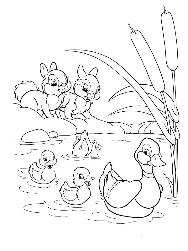 Ausmalbild Enten und Kaninchen  
