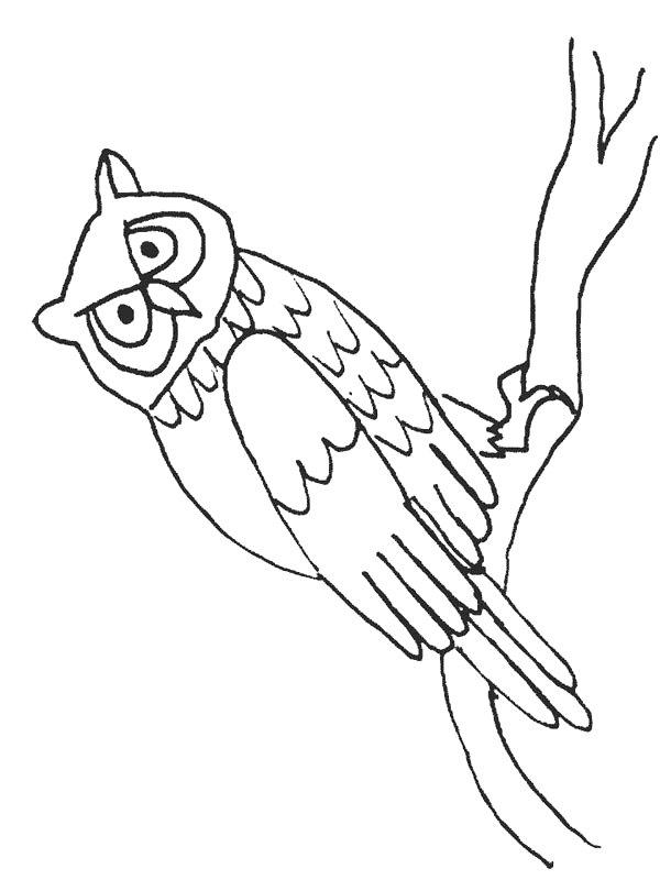Ausmalbild Eule auf einem Ast  