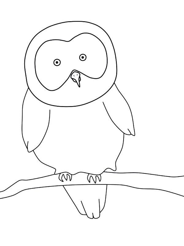 Ausmalbild Eule einfach  
