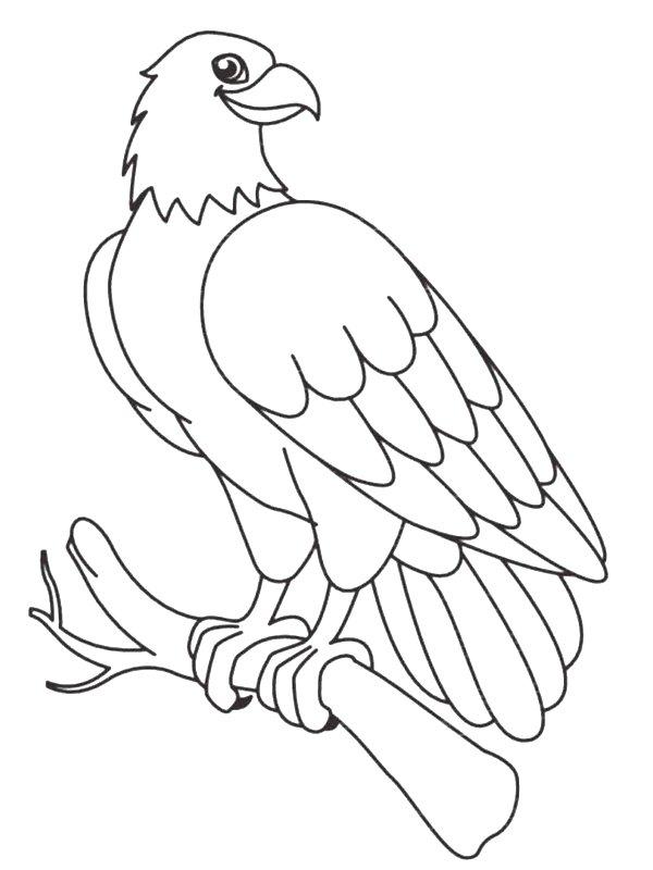 Ausmalbild Falke auf einem Ast  