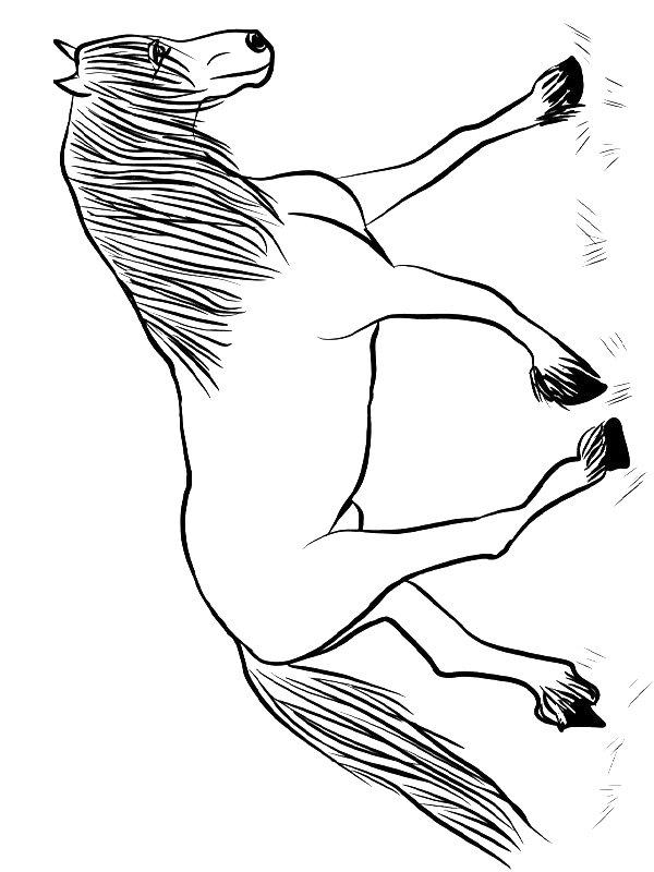 Ausmalbild Friesenpferd  