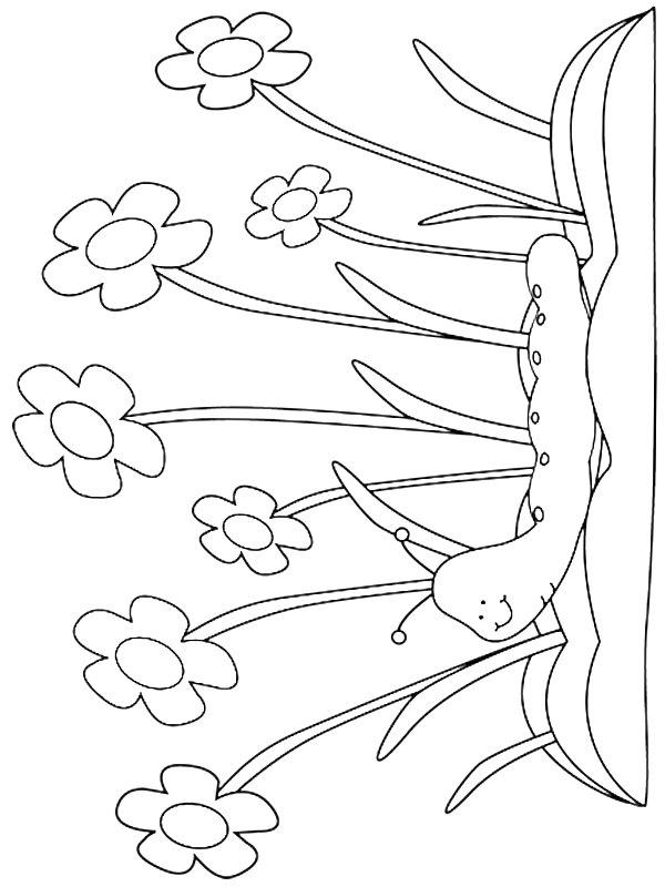 Ausmalbild Frühlingsraupe  