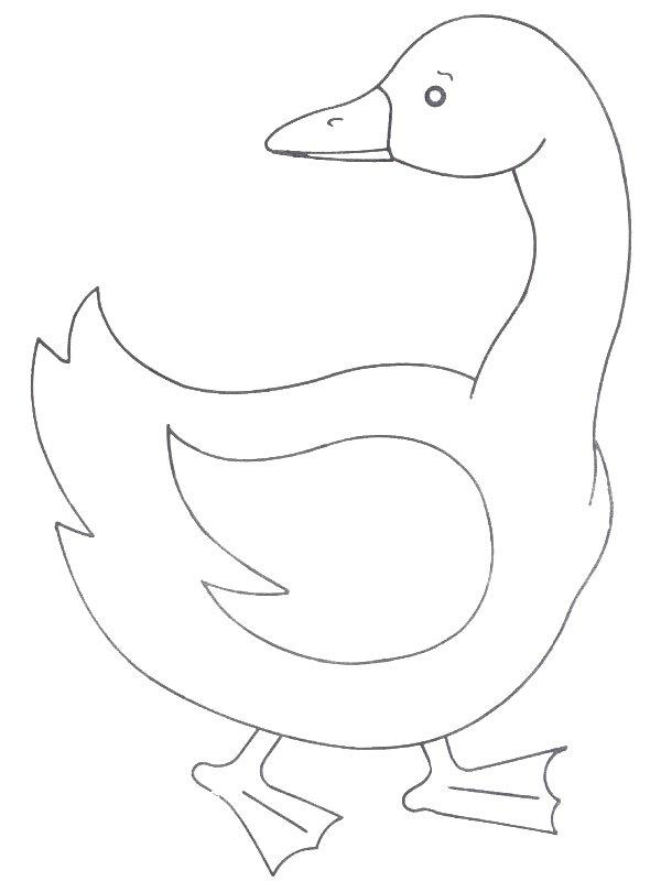 Ausmalbild Gans  