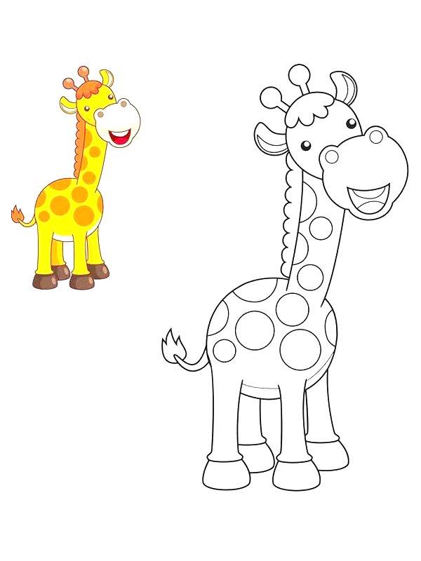 Ausmalbild Giraffe ausmalen  