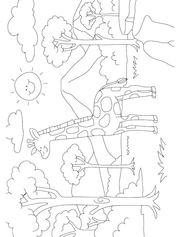 Ausmalbild Giraffe in der Natur  