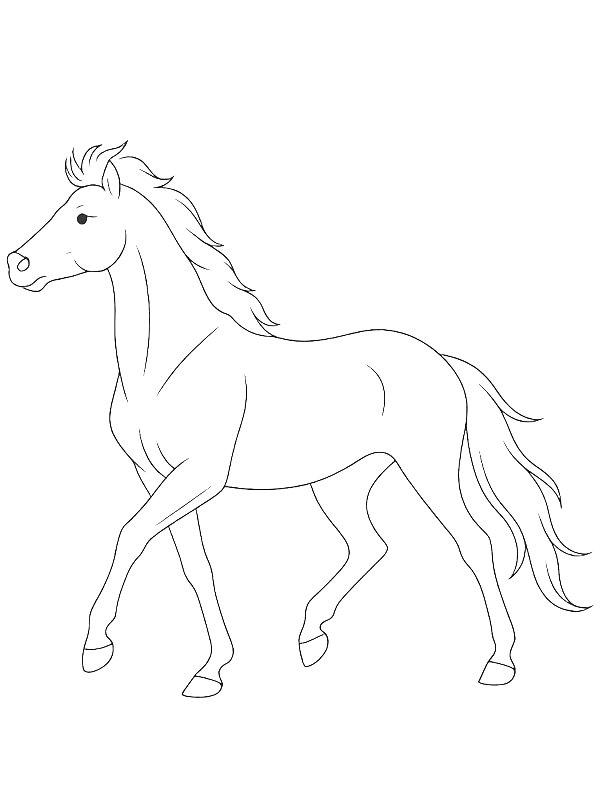 Ausmalbild Haflinger Pferd  