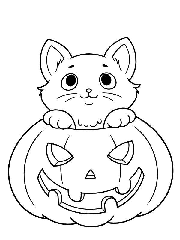 Ausmalbild Halloween Katze  
