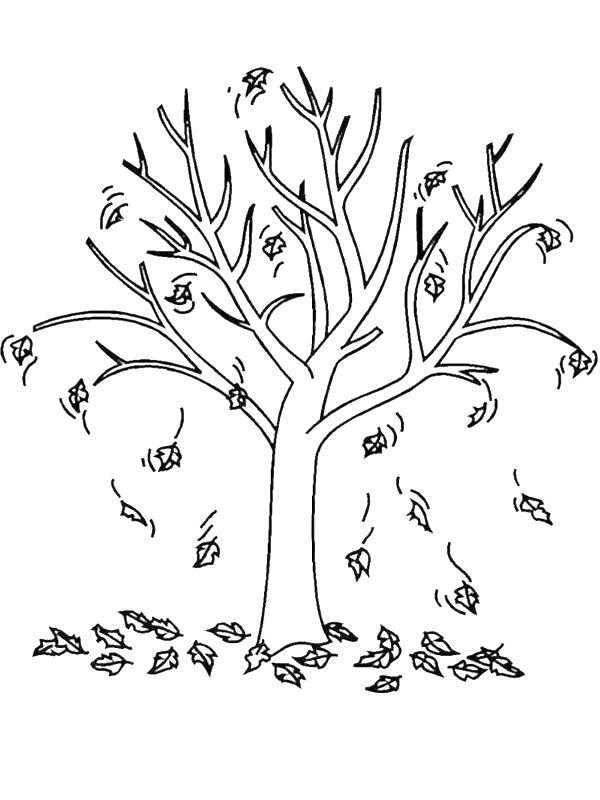 Ausmalbild Herbstbaum  
