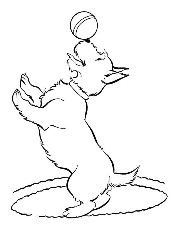 Ausmalbild Hund mit Kugel  