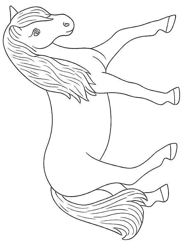 Ausmalbild Isländisches Pferd  