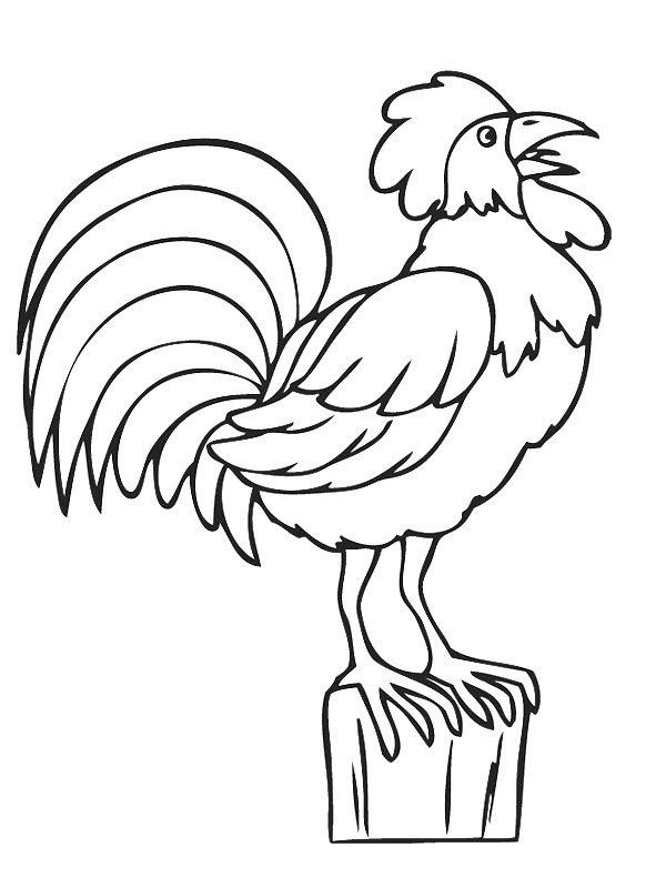 Ausmalbild Krähender Hahn  