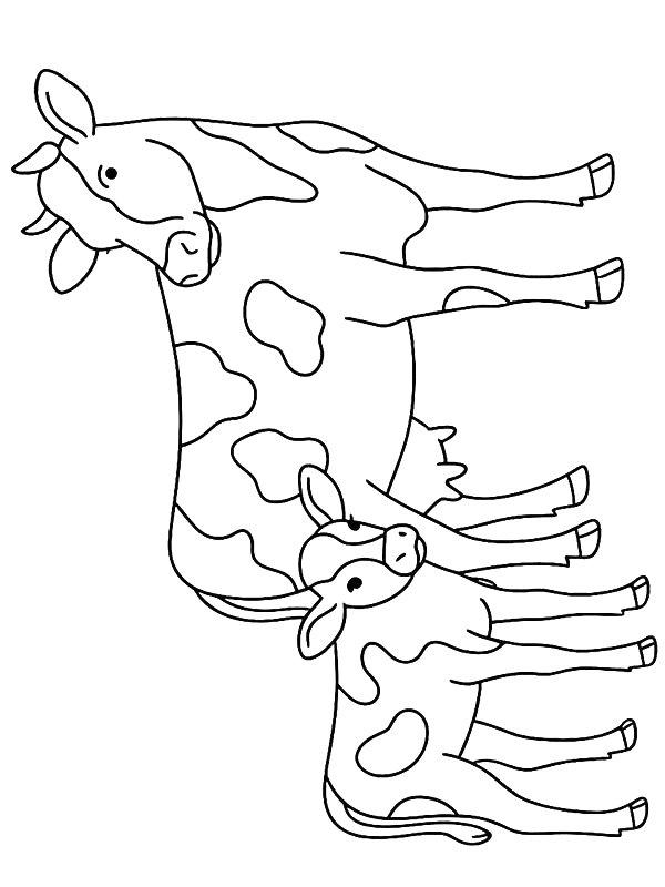 Ausmalbild Kuh mit Kalb  