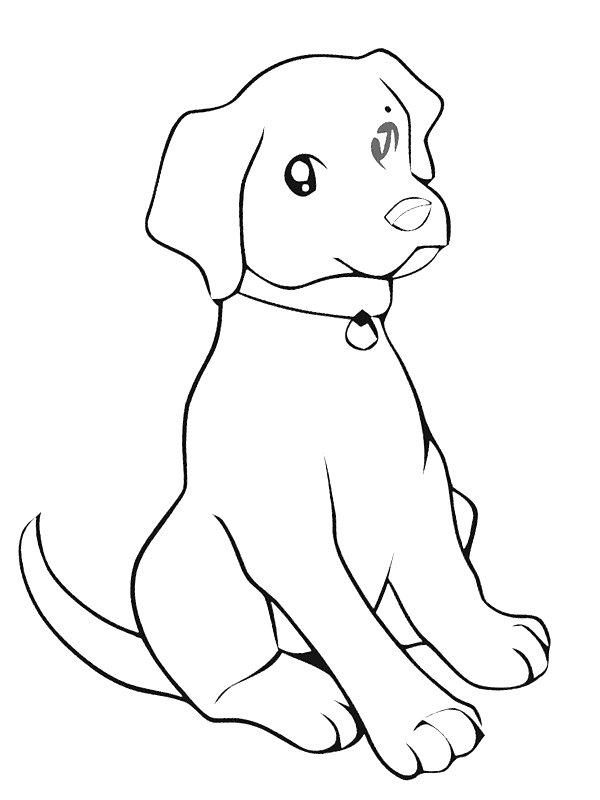 Ausmalbild Labrador Welpe  