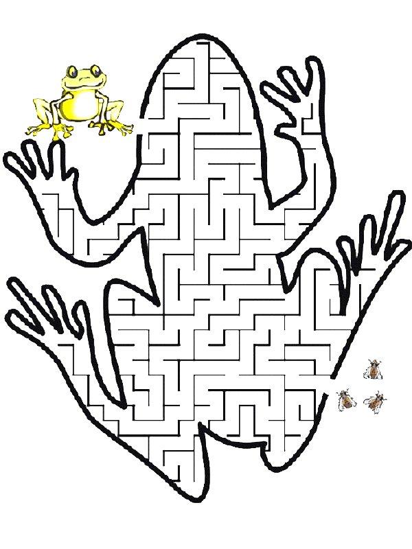 Ausmalbild Labyrinth Frosch  