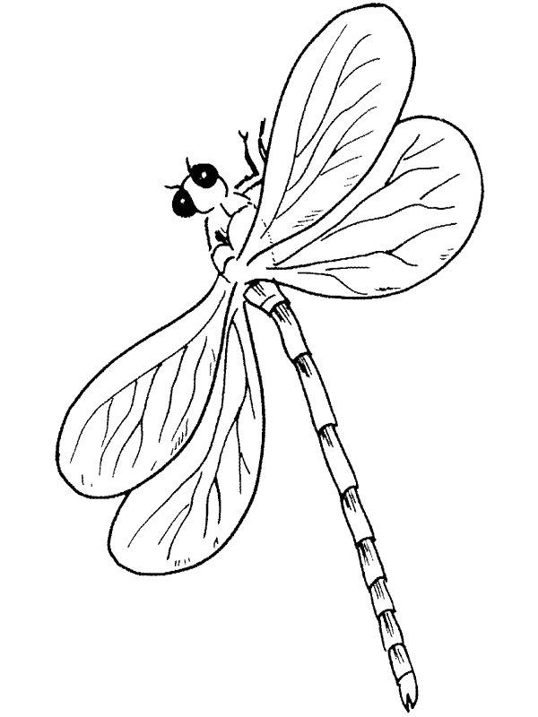Ausmalbild Libelle  