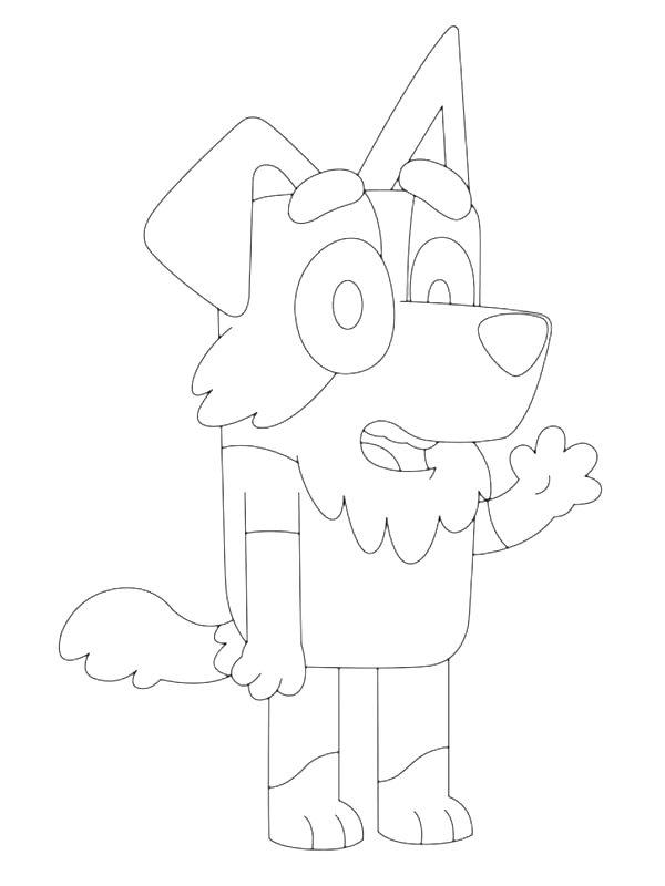 Ausmalbild Mackenzie Border Collie  