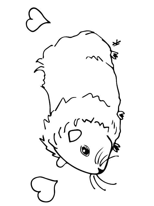 Ausmalbild Meerschweinchen verliebt  