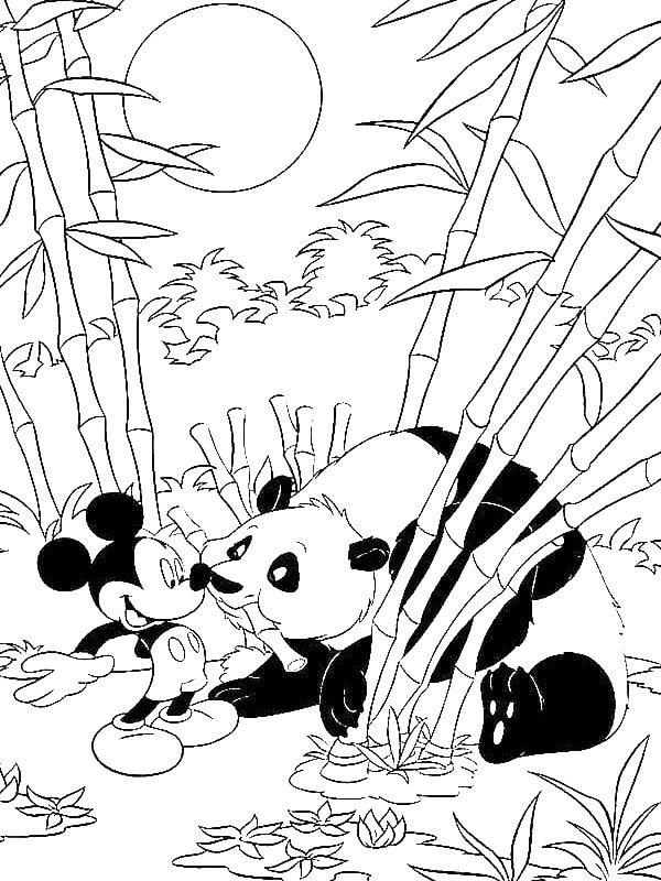 Ausmalbild Micky Maus und Panda  
