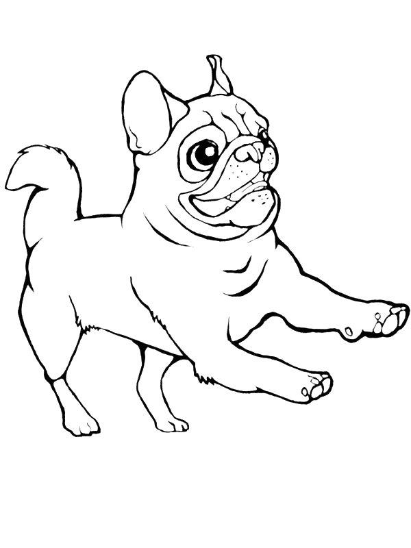 Ausmalbild Mops  