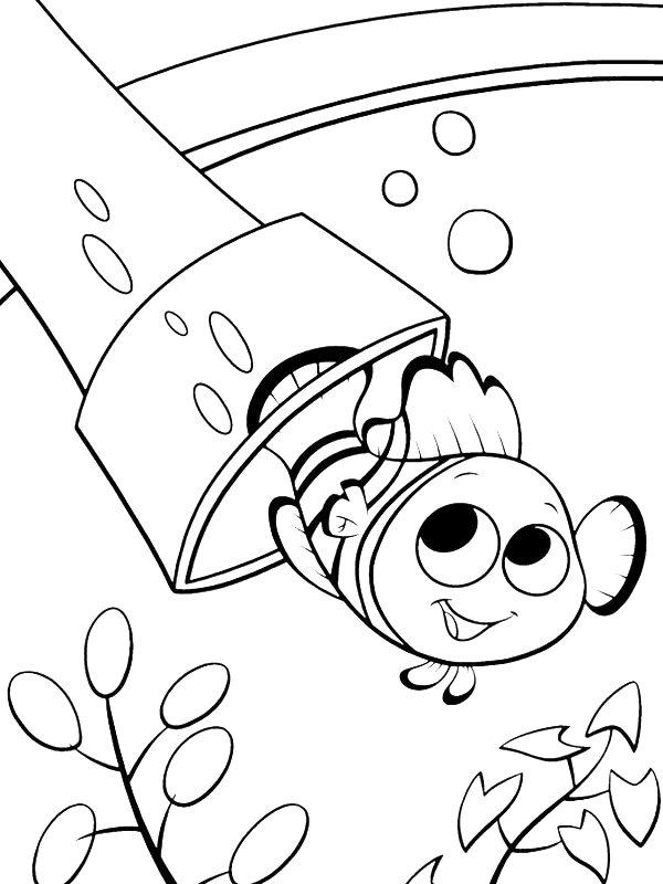 Ausmalbild Nemo  