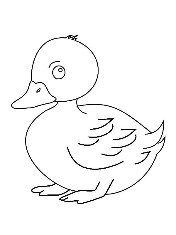 Ausmalbild Niedliche Ente  
