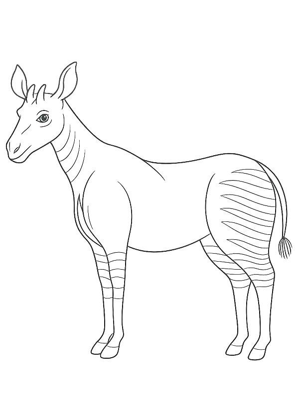 Ausmalbild Okapi  