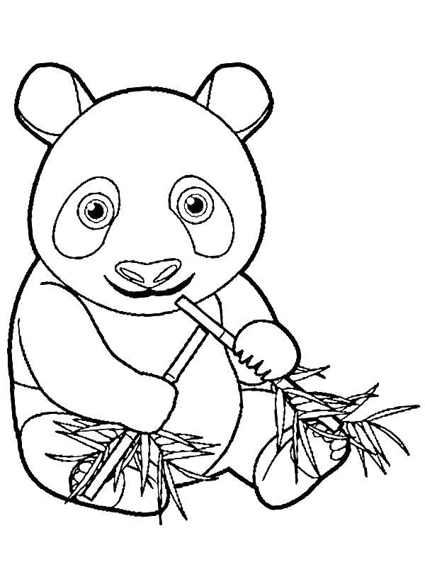 Ausmalbild Panda isst Bamboe  