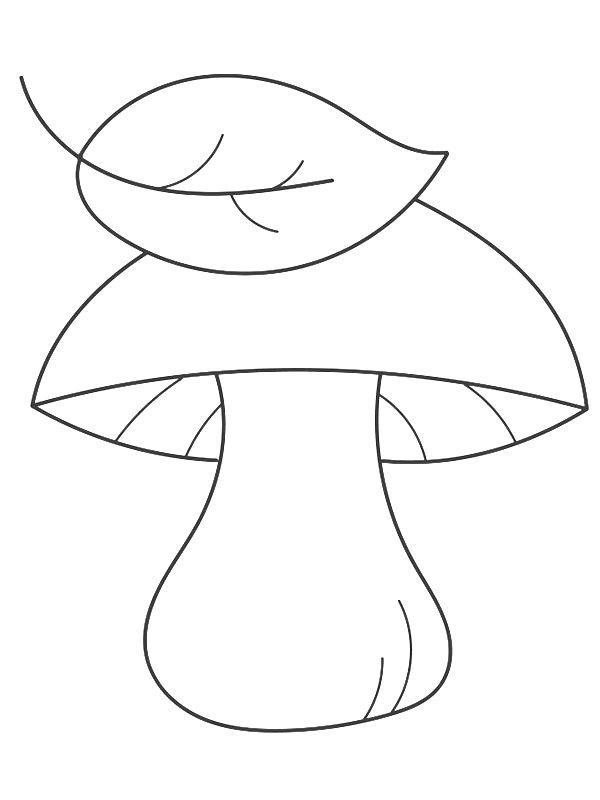 Ausmalbild Pilz und Blatt  