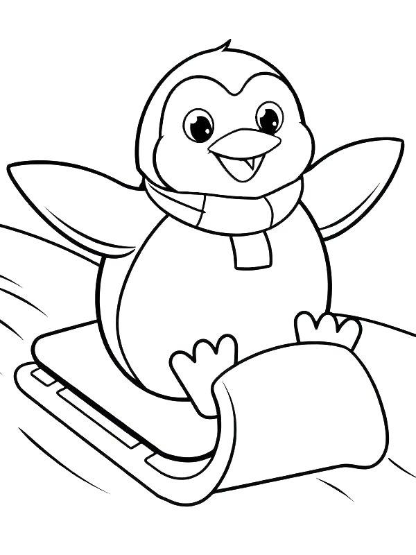 Ausmalbild Pinguin auf dem Schlitten  