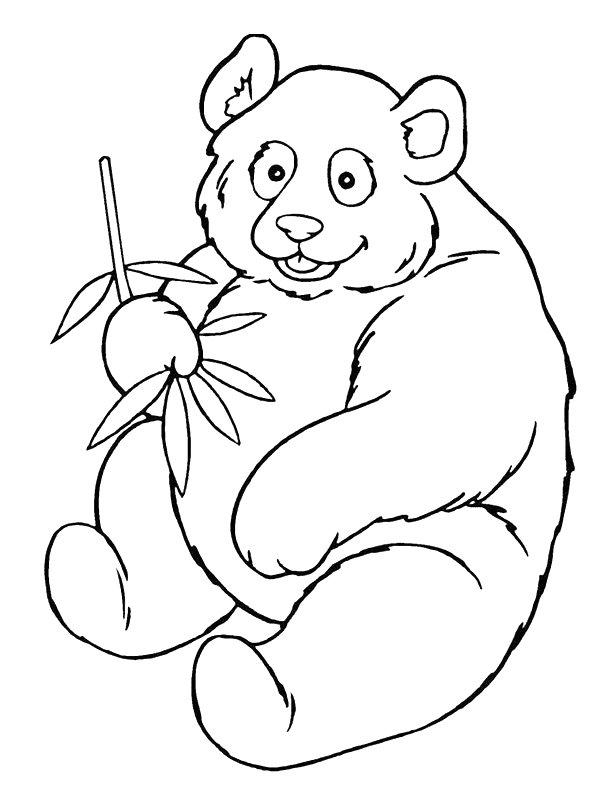 Ausmalbild Riesenpanda  