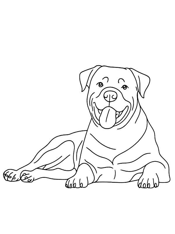 Ausmalbild Rottweiler  