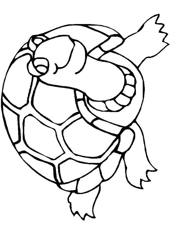 Ausmalbild Schildkröte unter Wasser  