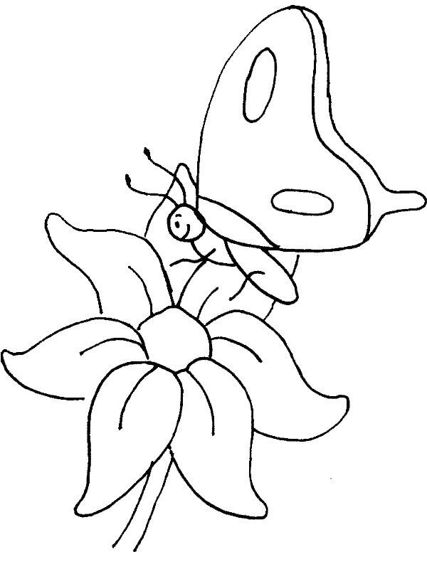 Ausmalbild Schmetterling auf Blume  