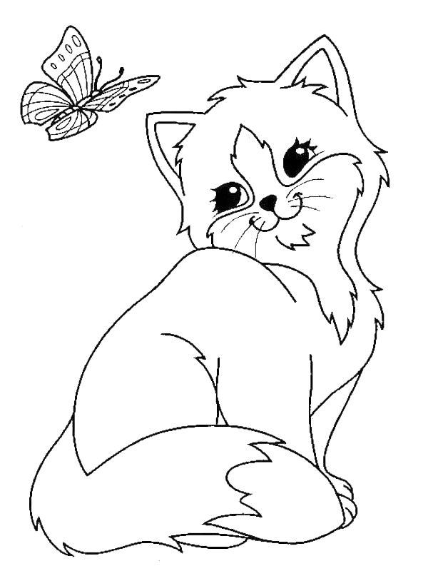 Ausmalbild Schmetterling und Katze  