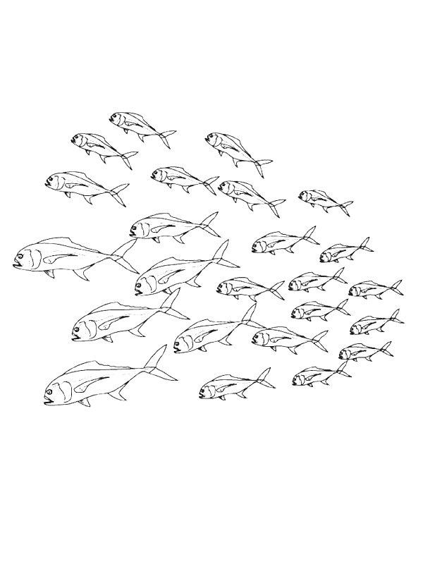 Ausmalbild Schule der Fische  