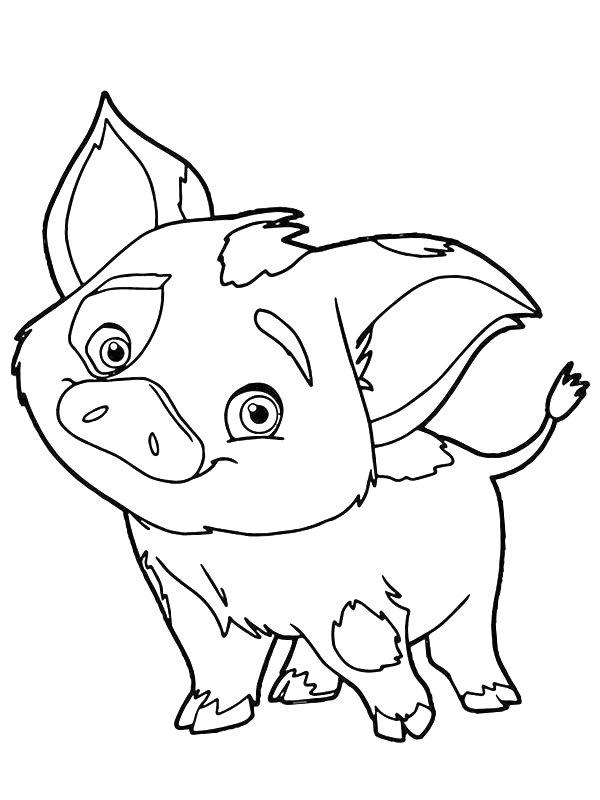 Ausmalbild Schwein Pua  